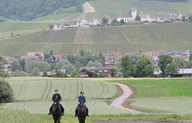 Ausritt vor der immer wieder beeindruckenden Kulisse Hohenhaslachs.  Foto: Arning