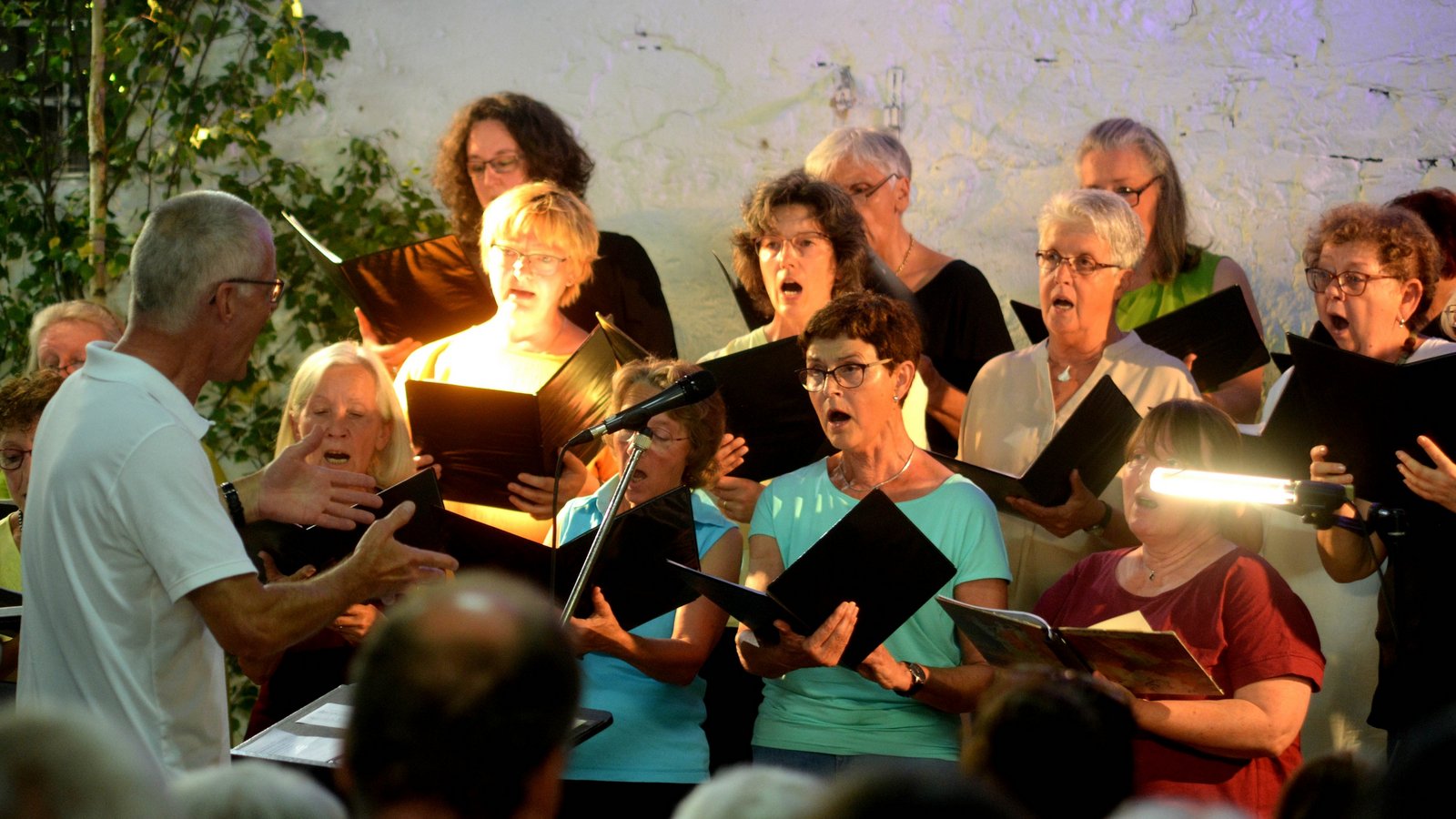 Die Sängerinnen und Sänger vom Illinger Kirchenchor. Fotos: Stahlfeld