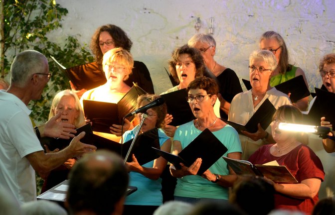 Die Sängerinnen und Sänger vom Illinger Kirchenchor. <span class='image-autor'>Fotos: Stahlfeld</span>
