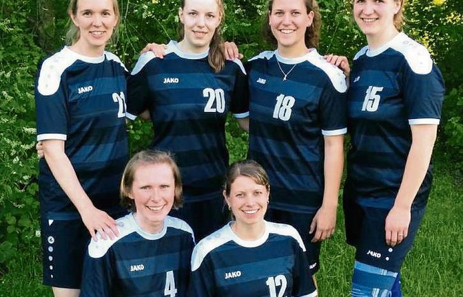 Sicherten sich bei der Indiaca-DM Bronze: die Frauen des TSV Enzweihingen mit (stehend von links) Susanne Kothmann, Caroline Knoll, Iris Barbunopulos und Angelika Bouillon sowie (kniend von links) Kristin Sparmann und Liane Abel  Foto: privat