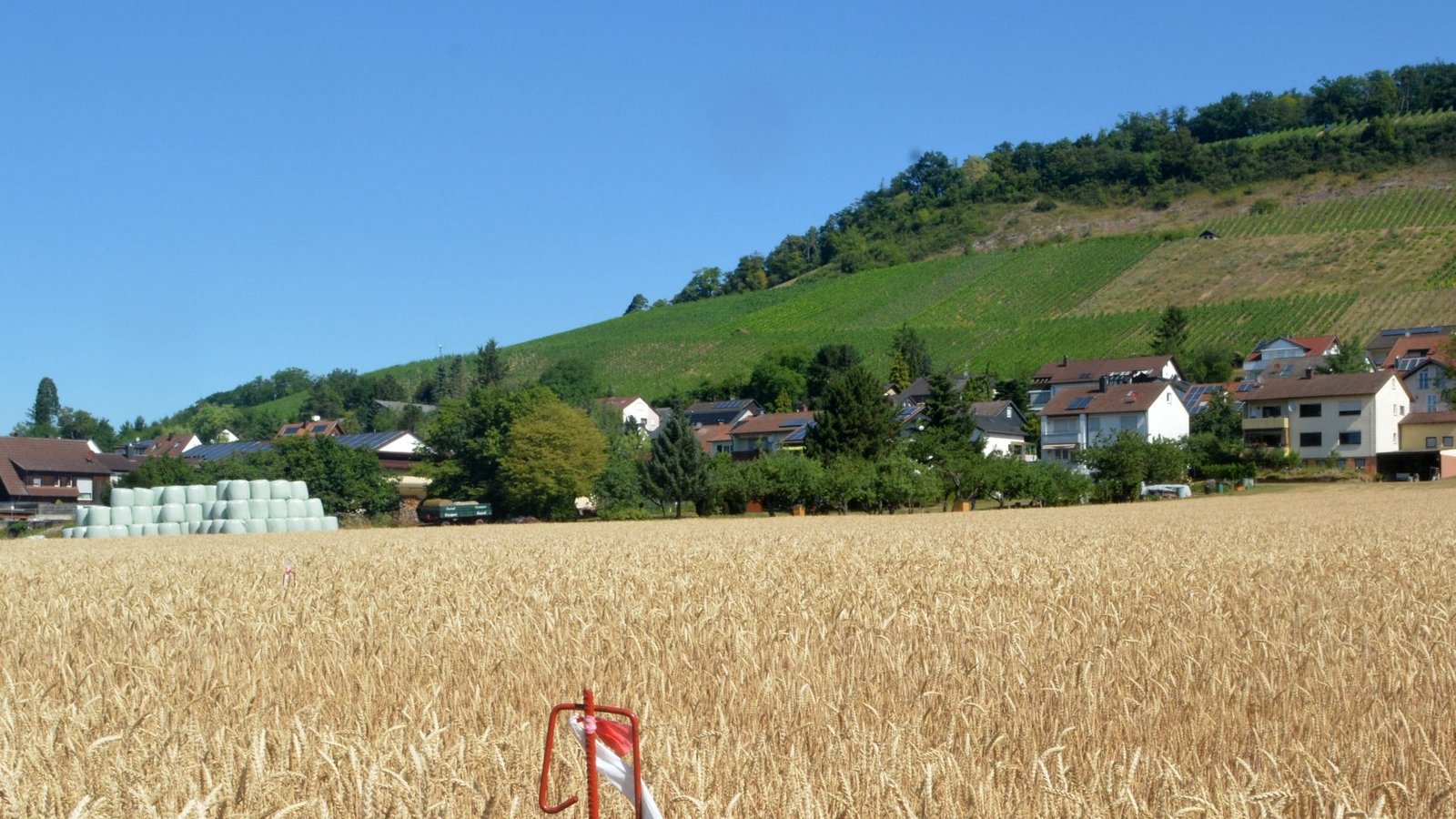 Hier starten bald die Arbeiten für den Neubau. Foto: Stahlfeld
