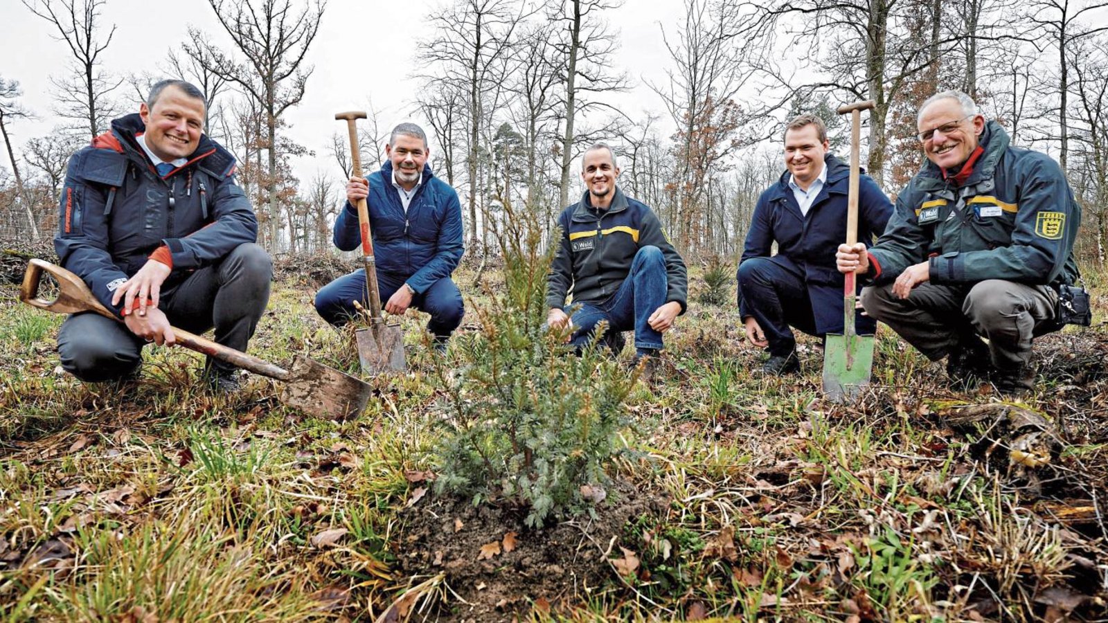 Pflanzaktion – von links Regionalleiter Andreas Büdenbender, Vorstand Heiko Herbst, Dr. Michael Nill (Fachbereichsleiter Wald im Landratsamt), Lars Roller (Kämmerer der Stadt Sachsenheim) und Revierförster Burkhard Böer. Foto: p Pflanzaktion – von links Regionalleiter Andreas Büdenbender, Vorstand Heiko Herbst, Dr. Michael Nill (Fachbereichsleiter Wald im Landratsamt), Lars Roller (Kämmerer der Stadt Sachsenheim) und Revierförster Burkhard Böer. Foto: p