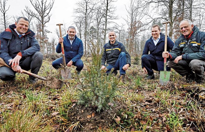 Pflanzaktion – von links Regionalleiter Andreas Büdenbender, Vorstand Heiko Herbst, Dr. Michael Nill (Fachbereichsleiter Wald im Landratsamt), Lars Roller (Kämmerer der Stadt Sachsenheim) und Revierförster Burkhard Böer. Foto: p