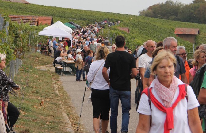 Auch das ist Weintourismus: die Genusswanderung in Roßwag. Archivfoto: Kauer/VKZ