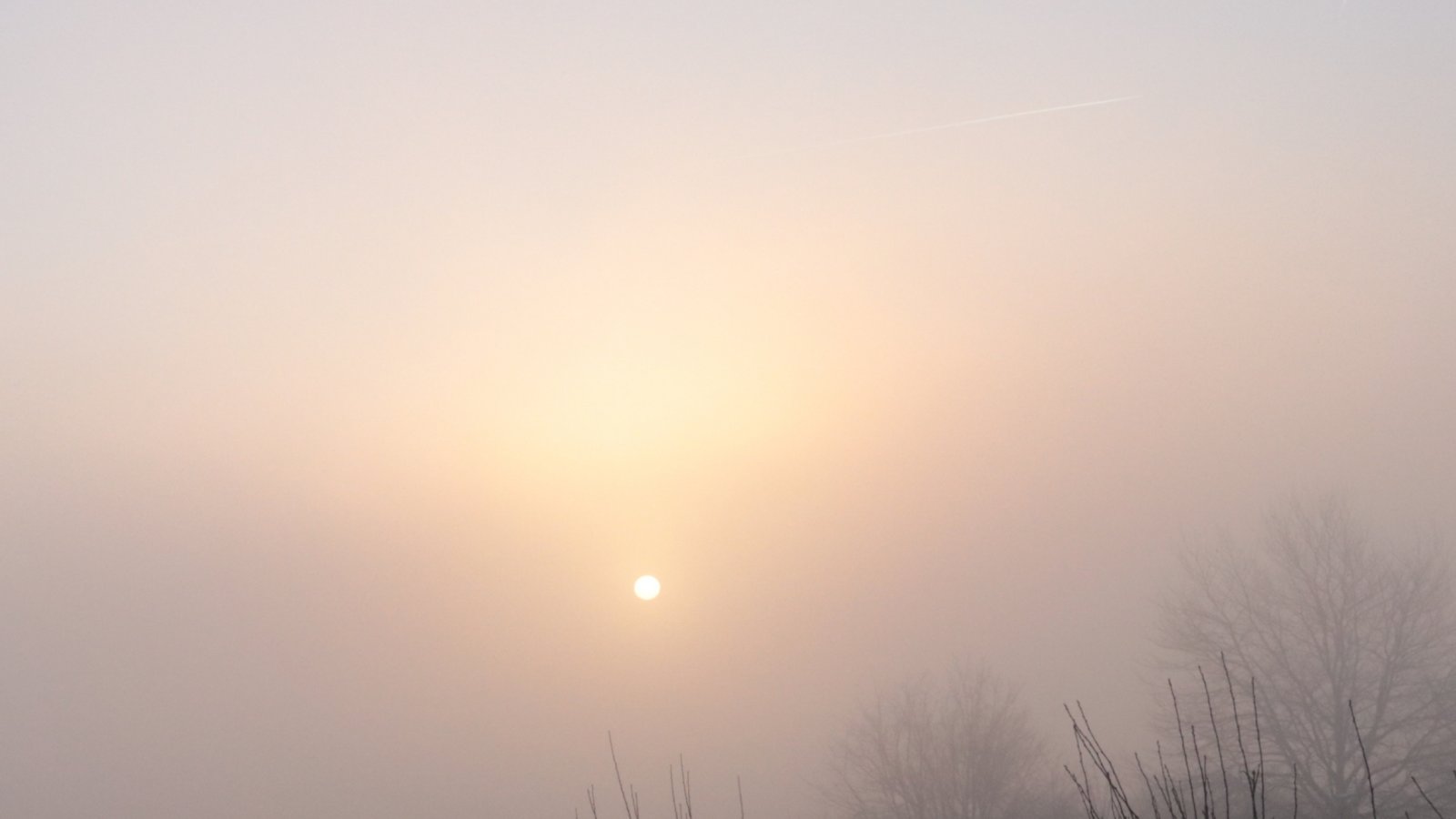 Das wettertechnisch tolle Wochenende startete am Samstag mit Kälte und Nebel. Karl-Heinz Witt aus Nussdorf schickte diese Aufnahme.