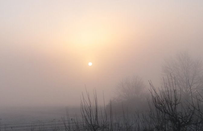 Das wettertechnisch tolle Wochenende startete am Samstag mit Kälte und Nebel. Karl-Heinz Witt aus Nussdorf schickte diese Aufnahme.