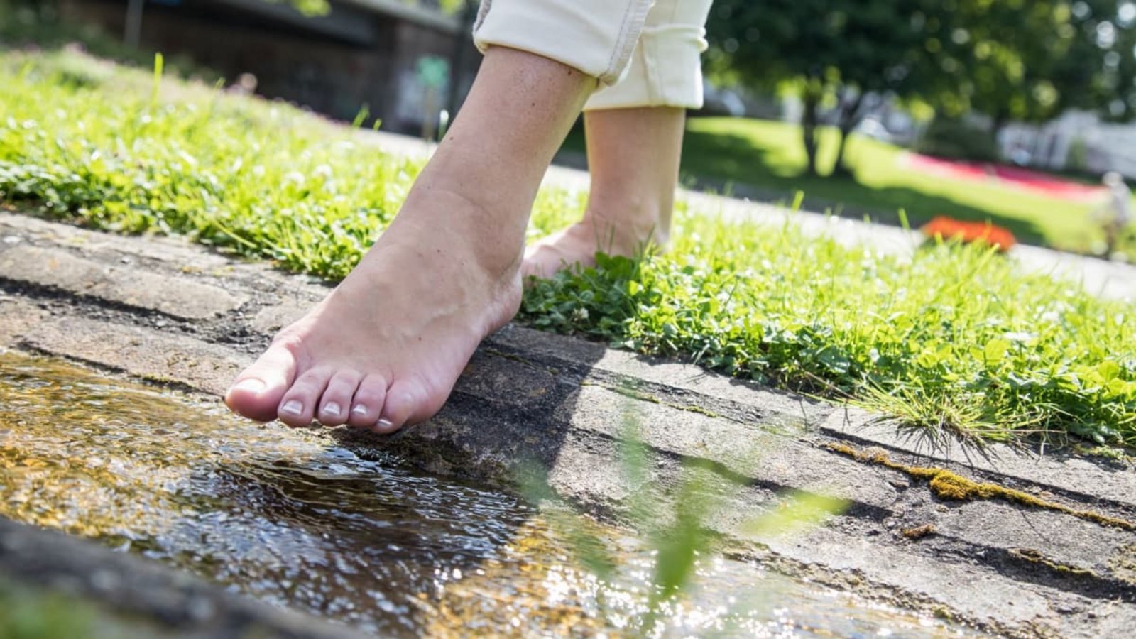 Unsere Füße tragen uns - und es lohnt sich, ihrer Gesundheit mehr Aufmerksamkeit zu schenken.Christin Klose/dpa-tmn/dpa Unsere Füße tragen uns - und es lohnt sich, ihrer Gesundheit mehr Aufmerksamkeit zu schenken.Christin Klose/dpa-tmn/dpa