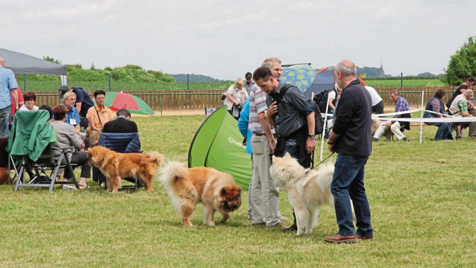 Züchter tauschen auf dem Gelände des Windhund-Rennsportvereins Solitude in Großsachsenheim ihre Erfahrungen aus. Fotos: Thaler Züchter tauschen auf dem Gelände des Windhund-Rennsportvereins Solitude in Großsachsenheim ihre Erfahrungen aus. Fotos: Thaler