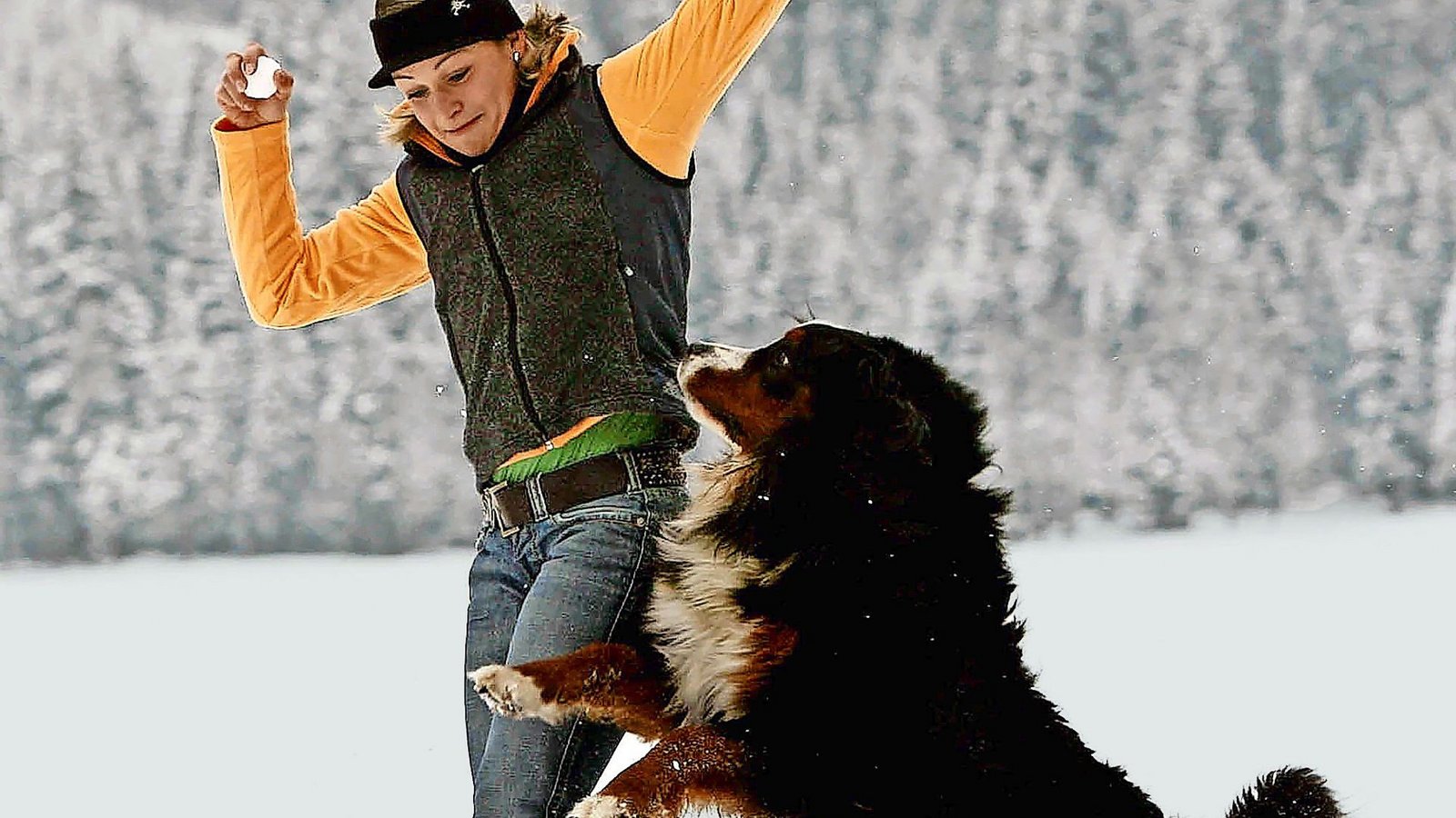 Den mag, wie man sieht, ja eigentlich jede(r): Berner Sennhund.Foto: Bild13 SportPresseFotos/Bild13 Den mag, wie man sieht, ja eigentlich jede(r): Berner Sennhund.Foto: Bild13 SportPresseFotos/Bild13