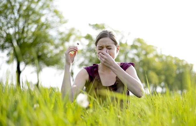Haatschi – Besonders auf Wiesen und Feldern haben Allergiker in den Frühling- und Sommermonaten mit allergischen Reaktionen zu kämpfen.<span class='image-autor'>Foto: imago/luna</span>