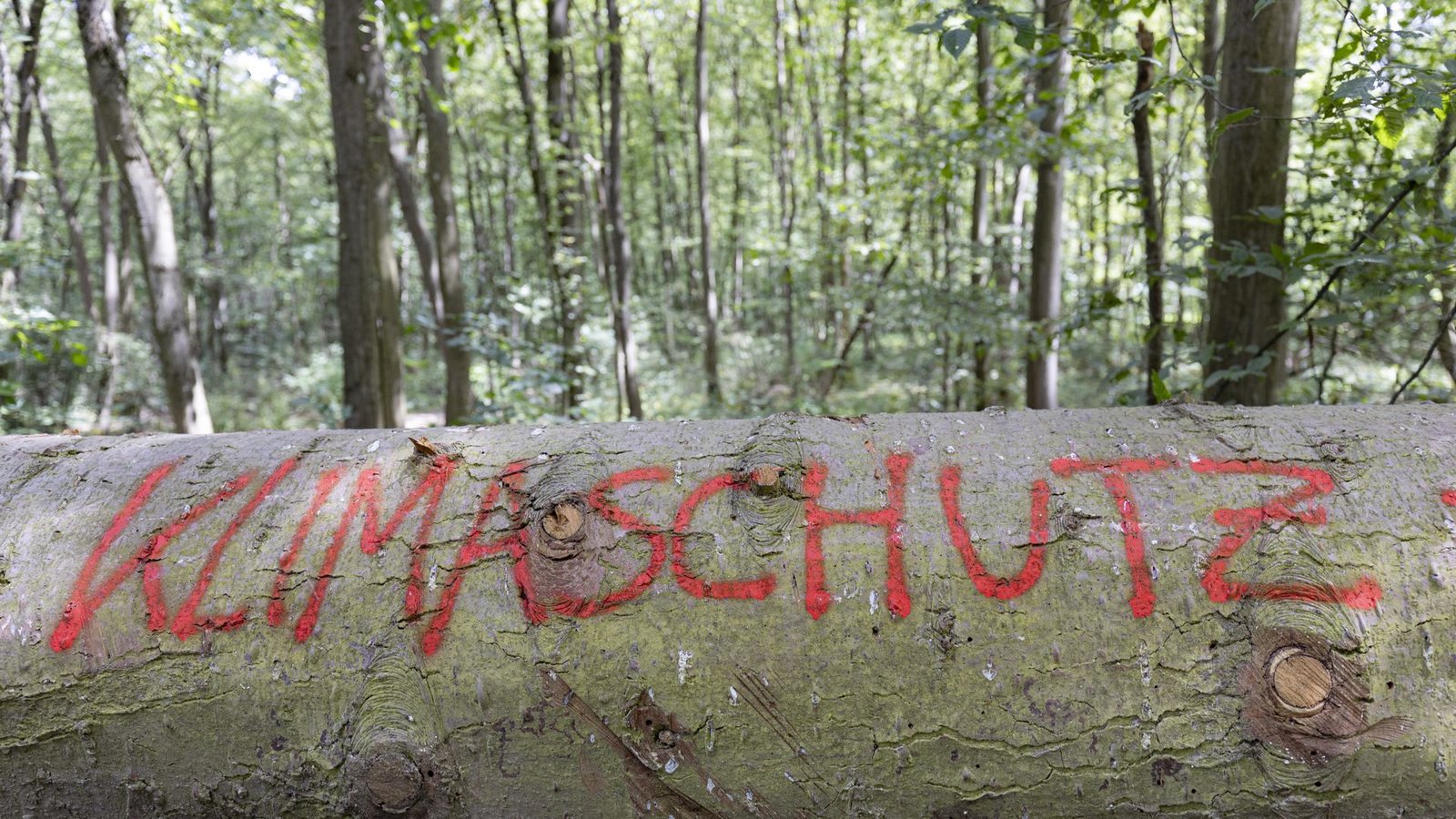 Das Land bleibt eine gesetzlich vorgeschriebene Reaktion seit Monaten schuldig?Foto: dpa/Tim Würz Das Land bleibt eine gesetzlich vorgeschriebene Reaktion seit Monaten schuldig?Foto: dpa/Tim Würz