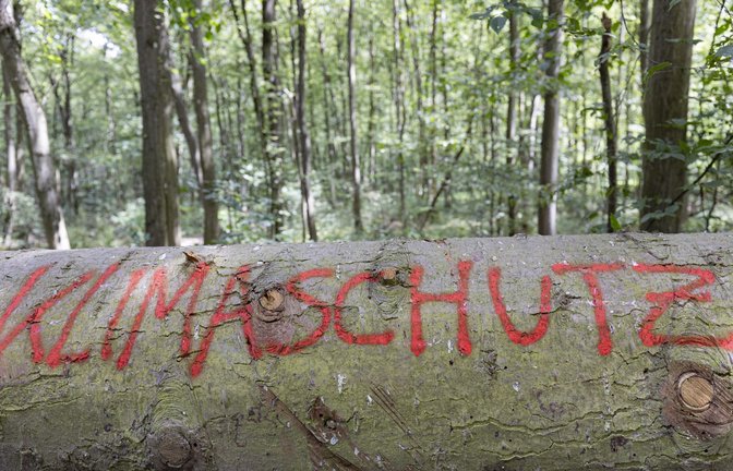 Das Land bleibt eine gesetzlich vorgeschriebene Reaktion seit Monaten schuldig?<span class='image-autor'>Foto: dpa/Tim Würz</span>