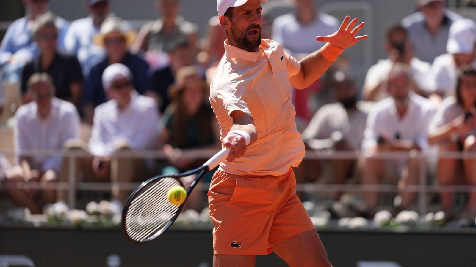 Djokovic will den 25. Titel bei einem Grand-Slam-TurnierFoto: Thibault Camus/AP/dpa Djokovic will den 25. Titel bei einem Grand-Slam-TurnierFoto: Thibault Camus/AP/dpa