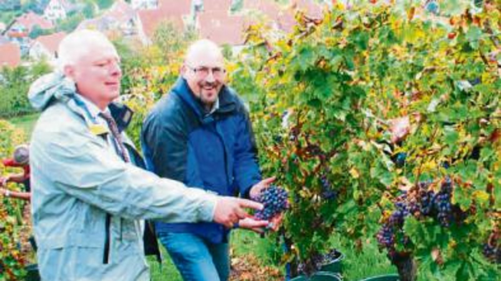 Auch Spielbergs Ortsvorsteher Pertler hilft. Auch Spielbergs Ortsvorsteher Pertler hilft.