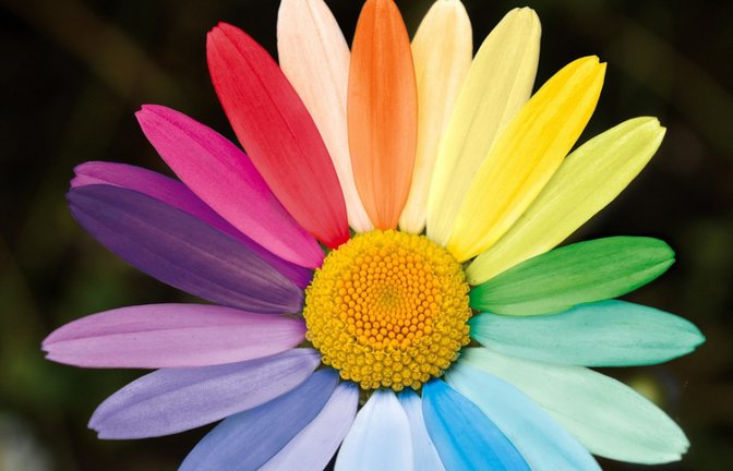 Die Stadt Mühlacker setzt sich für Vielfalt ein. <span class='image-autor'>Foto: neelam279/pixabay.com</span>