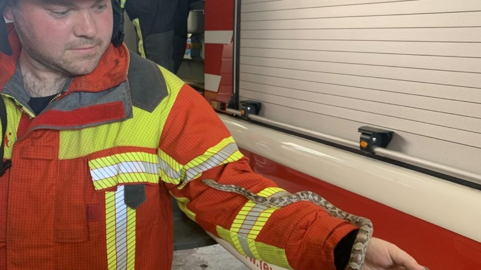 Keine Angst vor Schlangen: Feuerwehrmann Marc Becker. Foto: FW Keine Angst vor Schlangen: Feuerwehrmann Marc Becker. Foto: FW