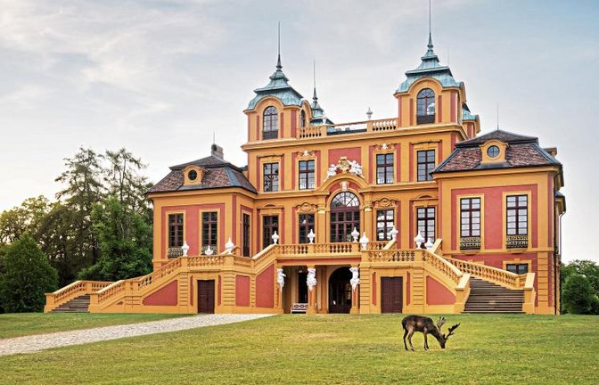 Neue Ausstellungsformate im Schloss Favorite. Foto: p