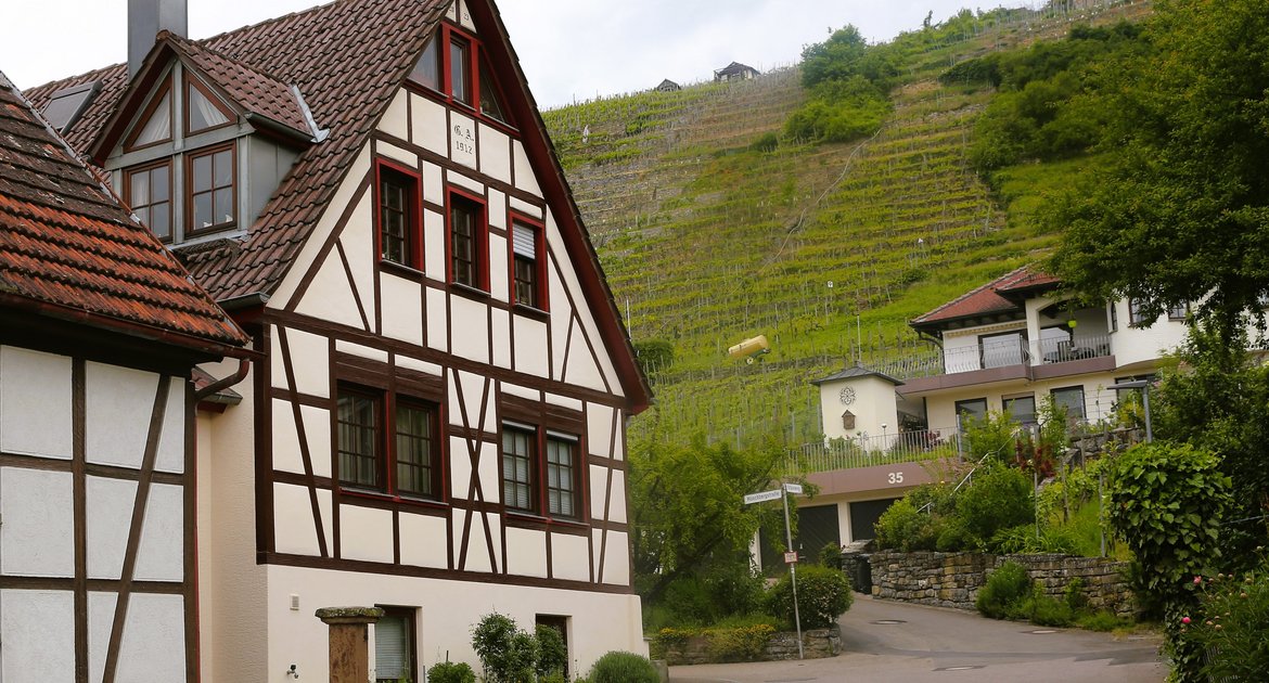 Symbolbild Tourismus Vaihingen: in Roßwag sieht man entlang von Fachwerkhäusern auf den Weinberg, Wein, Steillagen, Direktvermarktung, Fachwerk, Gartenschau