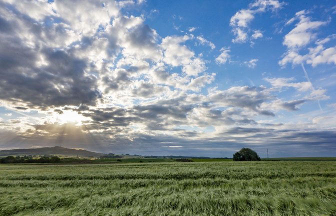 Der Sonntag zeigt sich in Baden-Württemberg von seiner sonnigen Seite.<span class='image-autor'>Foto: Thomas Warnack/dpa/Thomas Warnack</span>