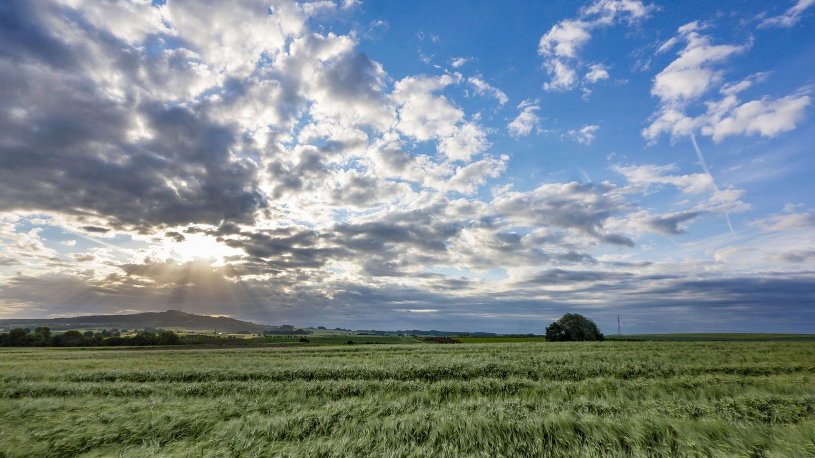 Der Sonntag zeigt sich in Baden-Württemberg von seiner sonnigen Seite.Foto: Thomas Warnack/dpa/Thomas Warnack Der Sonntag zeigt sich in Baden-Württemberg von seiner sonnigen Seite.Foto: Thomas Warnack/dpa/Thomas Warnack