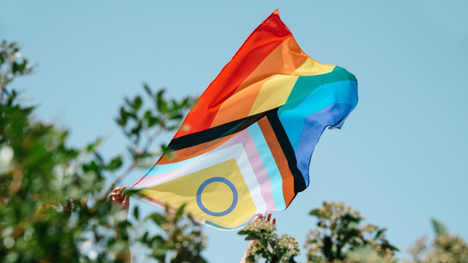 Eine moderne Version der Pride-Flagge ist diese "Inter Inclusive Pride Flag", die durch ihre Farben auch People of Colour, trans und intersexuelle Menschen einschließt.Foto: nito/ Shutterstock Eine moderne Version der Pride-Flagge ist diese "Inter Inclusive Pride Flag", die durch ihre Farben auch People of Colour, trans und intersexuelle Menschen einschließt.Foto: nito/ Shutterstock