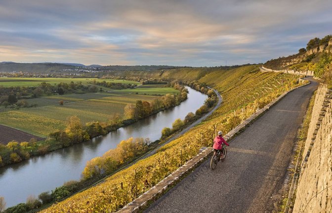 Mit einem E-Bike können auch ältere Menschen ohne große Anstrengungen die Aussicht von den Weinbergen genießen.<span class='image-autor'>Foto: imago//Uwe Moser</span>