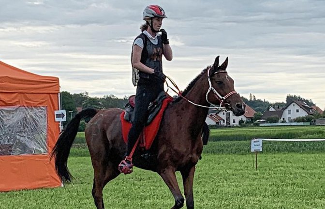 Die Vollblutaraberstute Saida Hilal wartete beim Endurance Festival Bavaria wieder mit hervorragenden Regenerations- und Pulswerten auf, so dass Finnja Röhm taktieren konnte.  Foto: privat