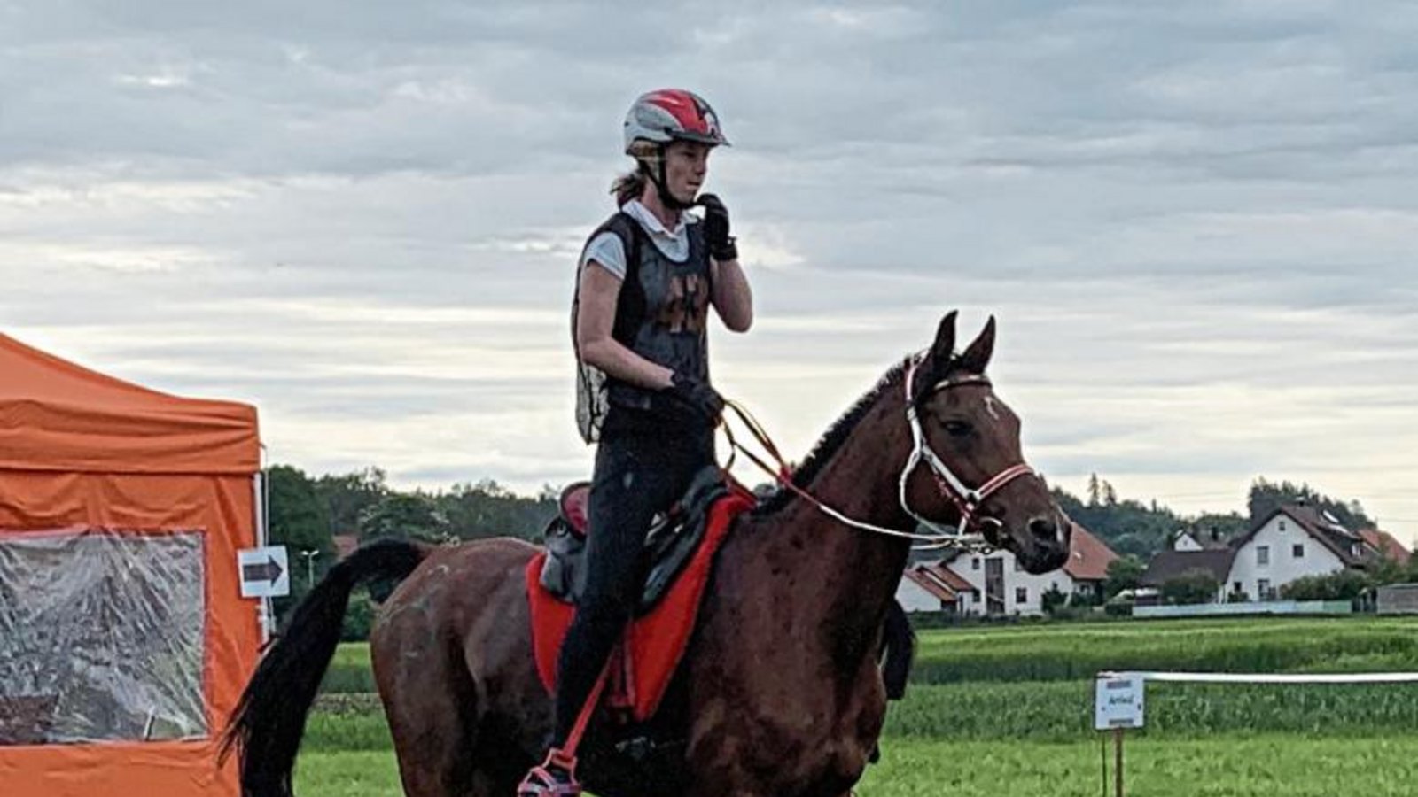 Die Vollblutaraberstute Saida Hilal wartete beim Endurance Festival Bavaria wieder mit hervorragenden Regenerations- und Pulswerten auf, so dass Finnja Röhm taktieren konnte. Foto: privat Die Vollblutaraberstute Saida Hilal wartete beim Endurance Festival Bavaria wieder mit hervorragenden Regenerations- und Pulswerten auf, so dass Finnja Röhm taktieren konnte. Foto: privat