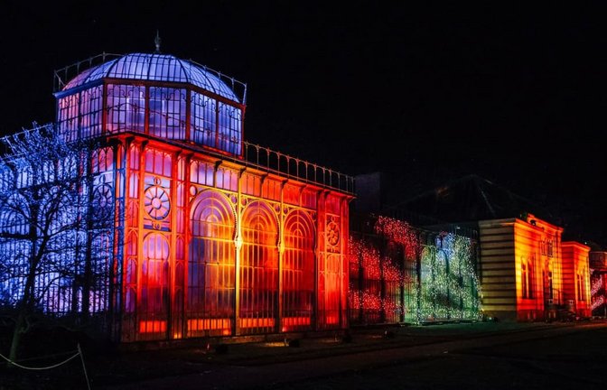 Der Christmas Garden wird ab Mitte November die Wilhelma wieder in magisches Licht tauchen.<span class='image-autor'>Lichtgut</span>