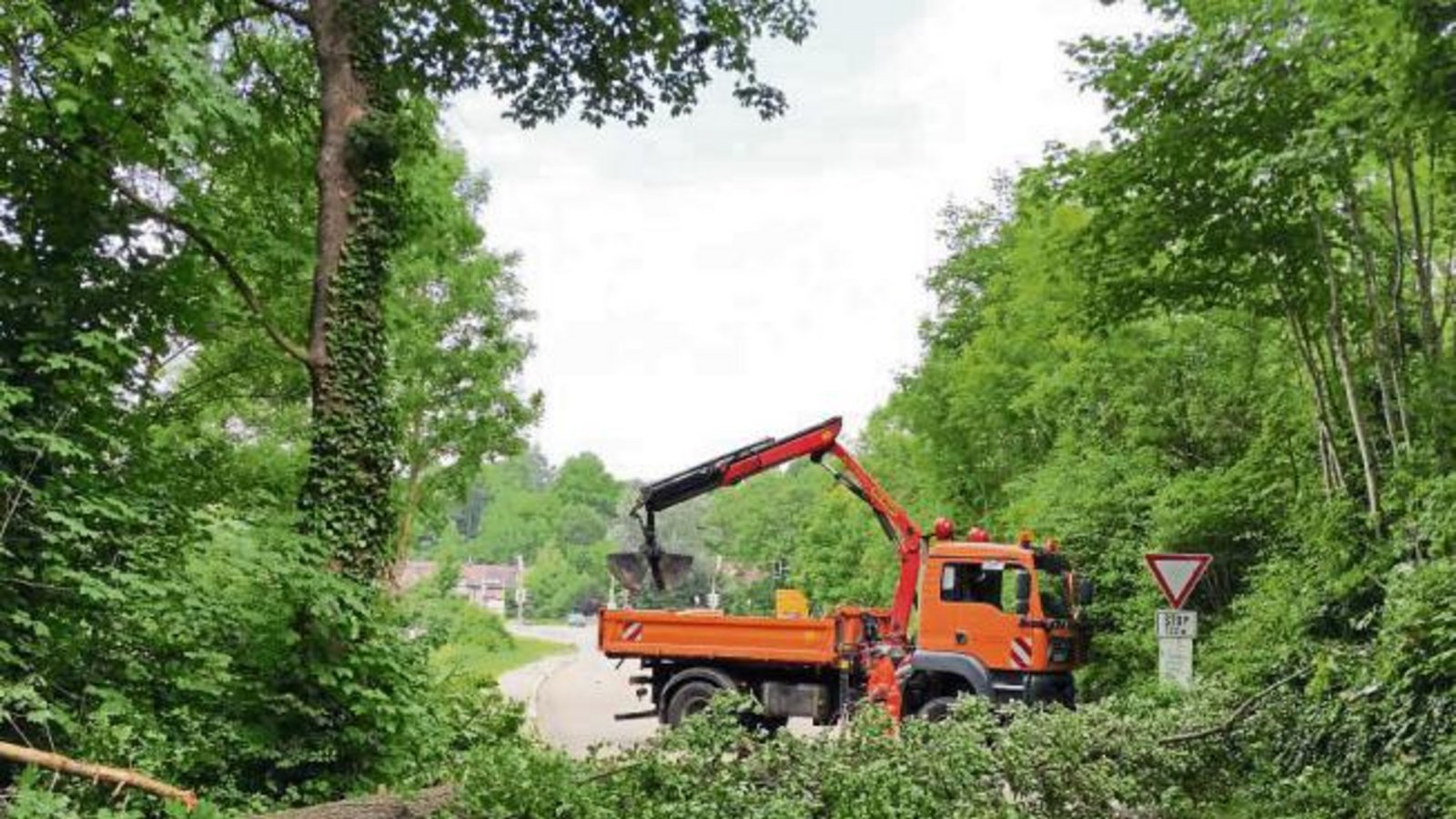 Ein umgestürzter Baum hat gestern die Vaihinger Ortsausfahrt Richtung Roßwag gesperrt. Die Feuerwehr war mit neun Mann im Einsatz, die Straßenmeisterei kam mit einem Kran, um den Baum von der Straße zu räumen. Foto: p Ein umgestürzter Baum hat gestern die Vaihinger Ortsausfahrt Richtung Roßwag gesperrt. Die Feuerwehr war mit neun Mann im Einsatz, die Straßenmeisterei kam mit einem Kran, um den Baum von der Straße zu räumen. Foto: p