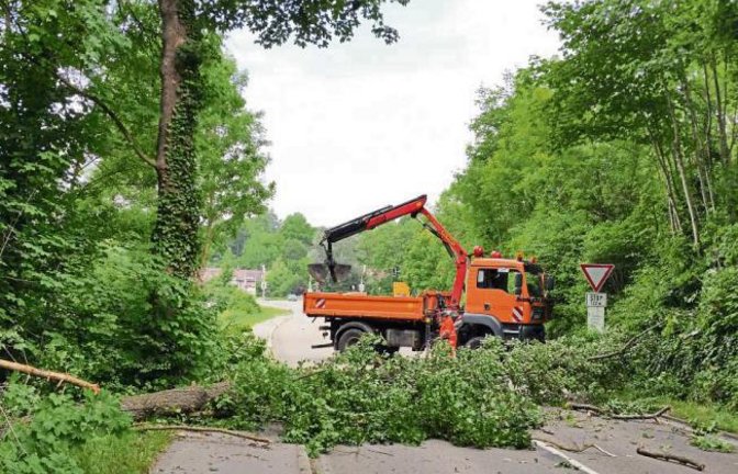 Ein umgestürzter Baum hat gestern die Vaihinger Ortsausfahrt Richtung Roßwag gesperrt. Die Feuerwehr war mit neun Mann im Einsatz, die Straßenmeisterei kam mit einem Kran, um den Baum von der Straße zu räumen.  Foto: p