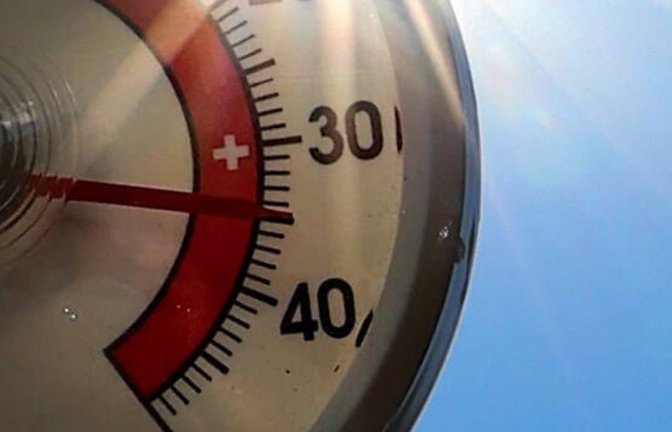 Die extreme Hitzewelle im Juni brachte nicht nur die Menschen zum Schwitzen. "Anhaltende Hitze ist ein Systemrisiko für Europa, warnen Karlsruher Forscher.<span class='image-autor'>Imago/localpic</span>