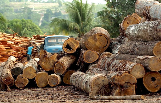 Die EU will die Abholzung des Regenwaldes stoppen. Dabei soll auch ein neues Gesetz helfen, das nun aber vom Parlament in Straßburg um ein Jahr verschoben wurde.<span class='image-autor'>Foto: epa efe Marcelo Sayao/EFE/dpa/epa efe Marcelo Sayao</span>