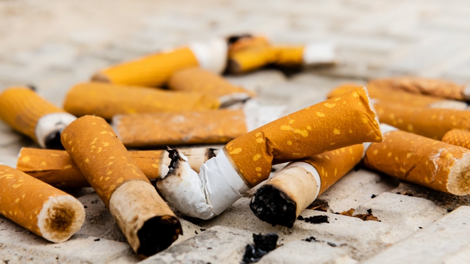 Filterzigaretten sind ein großes Umweltproblem.Foto: Gudman / shutterstock.com Filterzigaretten sind ein großes Umweltproblem.Foto: Gudman / shutterstock.com