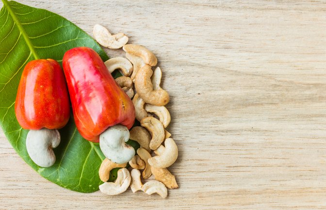 Cashewkerne wachsen, in einer Schale, am Ende der Cashewäpfel.<span class='image-autor'>Foto: Aggie 11/ Shutterstock</span>