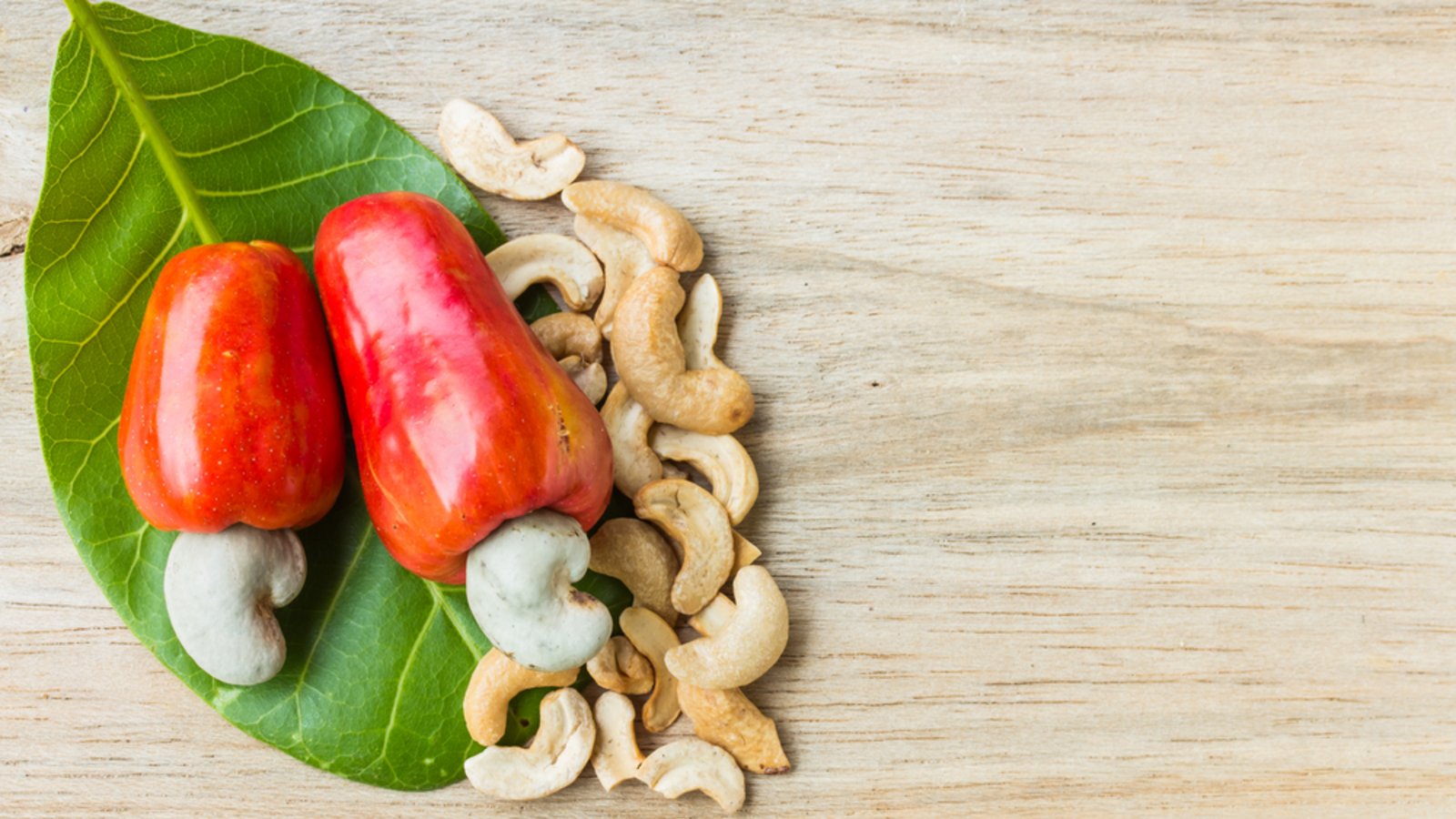 Cashewkerne wachsen, in einer Schale, am Ende der Cashewäpfel.Foto: Aggie 11/ Shutterstock Cashewkerne wachsen, in einer Schale, am Ende der Cashewäpfel.Foto: Aggie 11/ Shutterstock