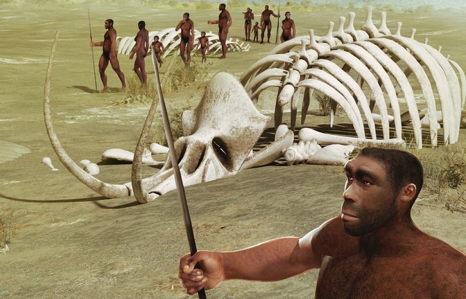 Der Homo sapiens dürfte sich in einem komplexen Prozess aus dem Homo erectus entwickelt haben, der vermutlich so ähnlich aussah wie diese Rekonstruktion. Eine „modernere“ Form dieser Spezies lebte vor 770.000 Jahren in Nordafrika, wie neue Funde belegen.<span class='image-autor'>Foto: Imago/Depositphotos</span>