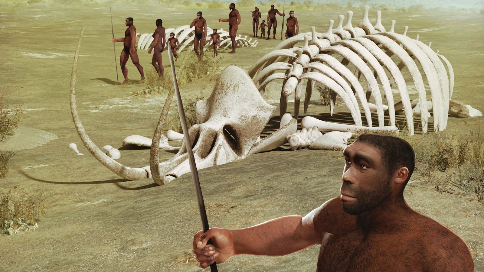 Der Homo sapiens dürfte sich in einem komplexen Prozess aus dem Homo erectus entwickelt haben, der vermutlich so ähnlich aussah wie diese Rekonstruktion. Eine „modernere“ Form dieser Spezies lebte vor 770.000 Jahren in Nordafrika, wie neue Funde belegen.Foto: Imago/Depositphotos Der Homo sapiens dürfte sich in einem komplexen Prozess aus dem Homo erectus entwickelt haben, der vermutlich so ähnlich aussah wie diese Rekonstruktion. Eine „modernere“ Form dieser Spezies lebte vor 770.000 Jahren in Nordafrika, wie neue Funde belegen.Foto: Imago/Depositphotos
