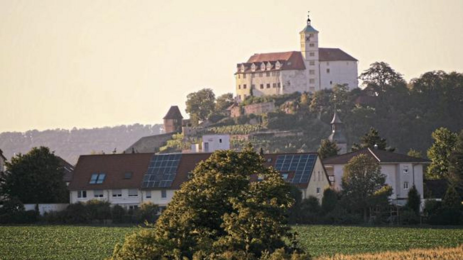 Schloss Kaltenstein einmal aus Richtung Enzweihingen aufgenommen. Foto: Janson