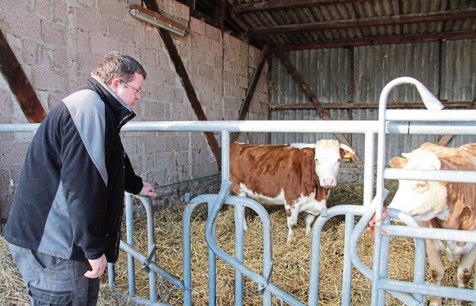 Landwirt Patrick Schülke ist froh, dass wenigstens vier seiner neun Rinder wieder wohlbehalten im Stall zurück sind.  Foto: Banholzer