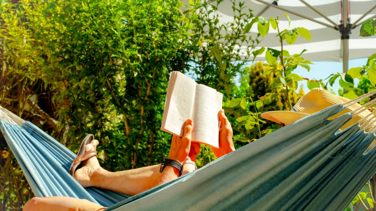 Welche Bücher sind aktuell besonders beliebt? Wir stellen sie vor.Foto: Sandra Alkado/ Shutterstock