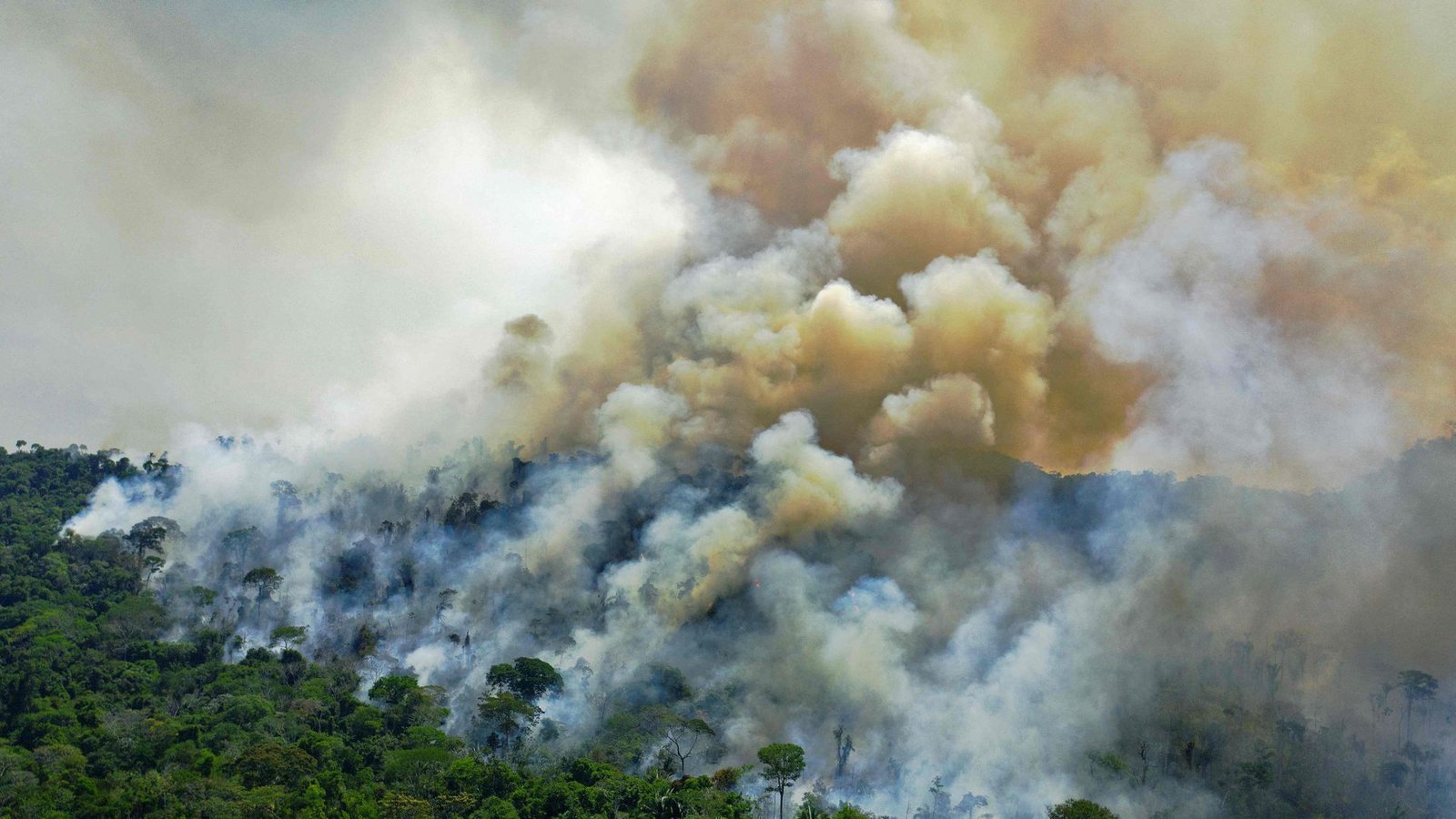 Auch das ein bekannter Anblick: Ein großes Feuer wütet im Amazonas Regenwald südlich von Novo Progresso in Brasilien.Foto: AFP/CARL DE SOUZA