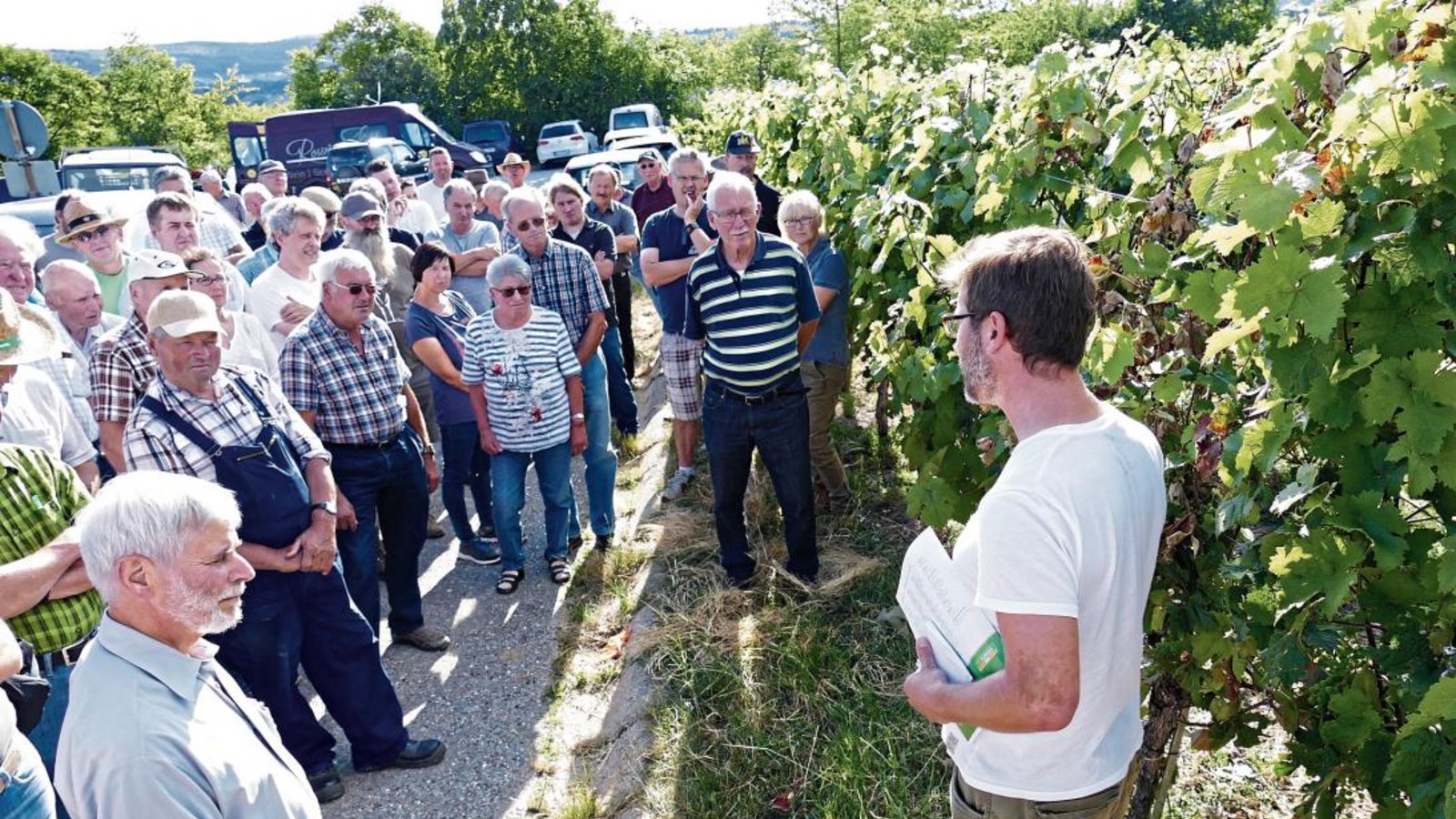 Knapp 40 Interessierte lassen sich vom Weinbauberater Felix Eberhard zwischen Illingen und Roßwag etwas sagen. Fotos: Roth