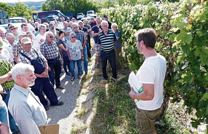 Knapp 40 Interessierte lassen sich vom Weinbauberater Felix Eberhard zwischen Illingen und Roßwag etwas sagen. Fotos: Roth