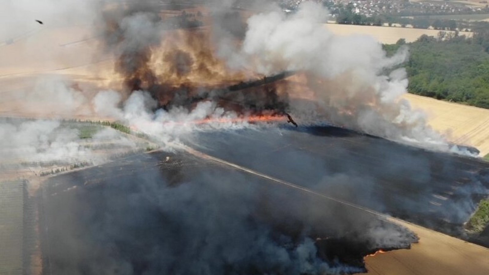 Großer Flächenbrand unweit der Kreisgrenze: Am vorvergangenen Wochenende standen unter anderem in Heilbronn mehrere Felder in Flammen. Foto: dpa Großer Flächenbrand unweit der Kreisgrenze: Am vorvergangenen Wochenende standen unter anderem in Heilbronn mehrere Felder in Flammen. Foto: dpa