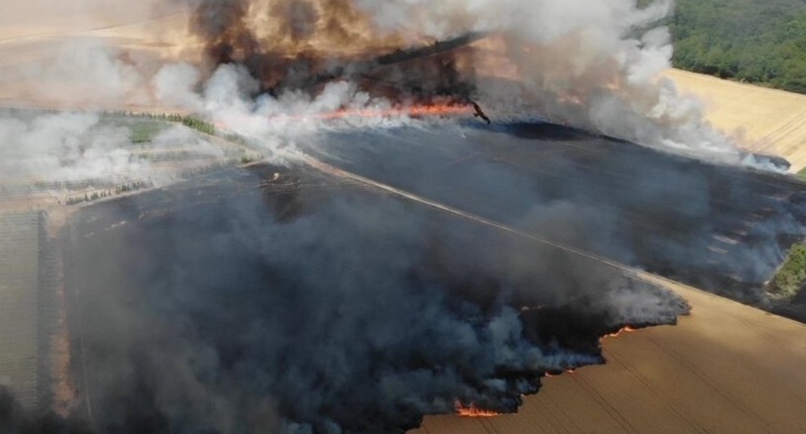 Dichter Rauch steigt über mehreren brennenden Feldern auf. Die Feuerwehr ist mit zahlreichen Kräften im Einsatz, auch Landwirte helfen beim Löschen. +++ dpa-Bildfunk +++ 