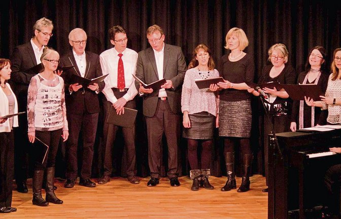 Das Ensemble No Limit wartete am Samstagabend in Eberdingen mit internationalen Weihnachtssongs auf. Fotos: Friedrich