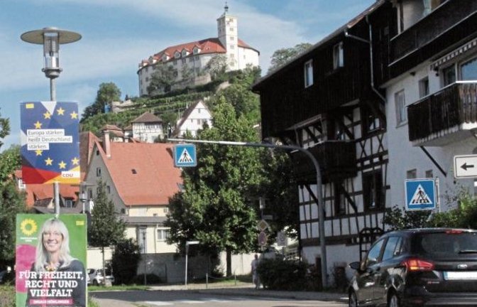 Der Wahlkampf auf den Straßen hat begonnen. Wie hier im Mühlkanal hängen an vielen Stellen in Vaihingen Wahlplakate der Parteien und Direktkandidaten.  Foto: Rostek