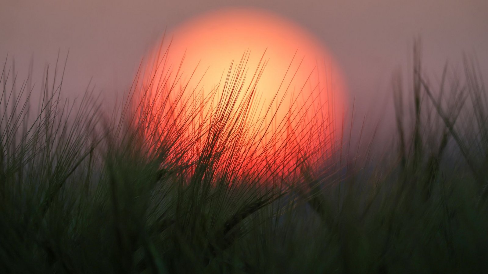 Im Südwesten werden Temperaturen bis 34 Grad erwartetFoto: Thomas Warnack/dpa