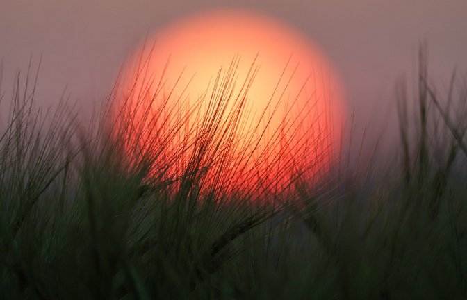 Im Südwesten werden Temperaturen bis 34 Grad erwartet<span class='image-autor'>Foto: Thomas Warnack/dpa</span>